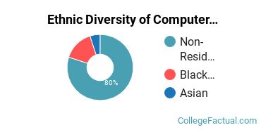 Ethnic Diversity of Computer & Information Sciences Majors at Chicago State University