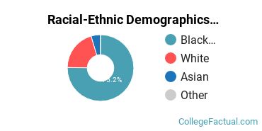 Racial-Ethnic Demographics of CSU Faculty