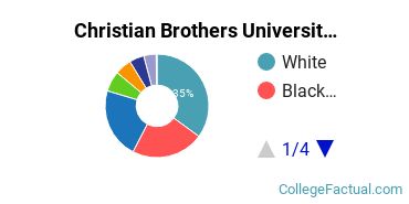 Christian Brothers Undergraduate Racial-Ethnic Diversity Pie Chart