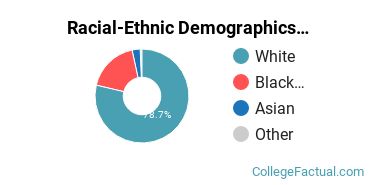 Racial-Ethnic Demographics of Christian Brothers Faculty