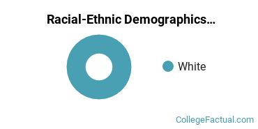 Racial-Ethnic Demographics of Christie's Education Faculty