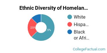 Ethnic Diversity of Homeland Security, Law Enforcement & Firefighting Majors at Cisco College