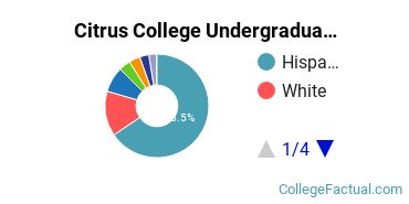 Citrus College Undergraduate Racial-Ethnic Diversity Pie Chart