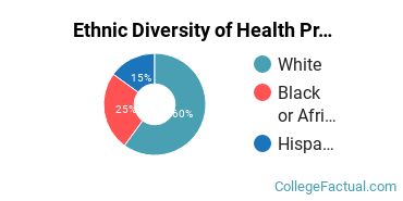 Ethnic Diversity of Health Professions Majors at City College - Hollywood