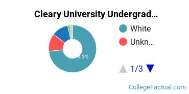 Cleary College Undergraduate Racial-Ethnic Diversity Pie Chart
