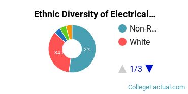 Ethnic Diversity of Electrical Engineering Majors at Clemson University