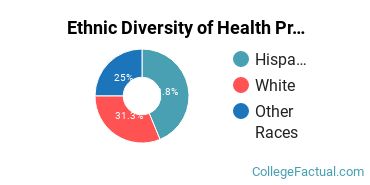 Ethnic Diversity of Health Professions Majors at CollegeAmerica - Fort Collins