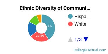 Ethnic Diversity of Communication & Journalism Majors at College of Mount Saint Vincent