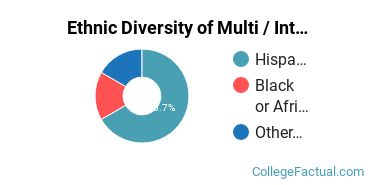 Ethnic Diversity of Multi / Interdisciplinary Studies Majors at College of Mount Saint Vincent