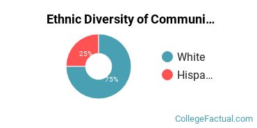 Ethnic Diversity of Communication & Journalism Majors at Notre Dame of Maryland University