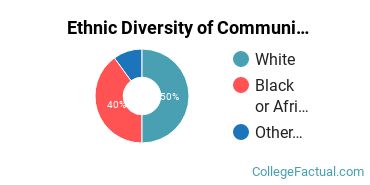 Ethnic Diversity of Communication & Journalism Majors at Notre Dame of Maryland University