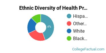 Ethnic Diversity of Health Professions Majors at CollegeAmerica - Phoenix