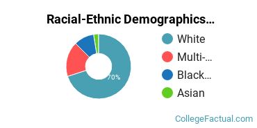 Racial-Ethnic Demographics of CollegeAmerica - Phoenix Faculty