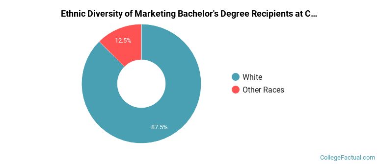 Ethnic diversity of Marketing majors at Colorado Christian University