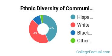 Ethnic Diversity of Communication & Journalism Majors at Colorado State University - Pueblo