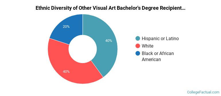 Ethnic diversity of Other Visual Art majors at Colorado State University Pueblo