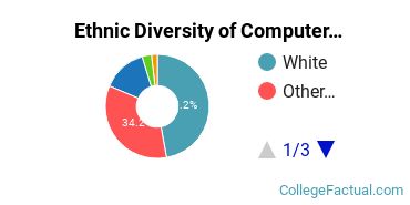 Ethnic Diversity of Computer & Information Sciences Majors at Colorado Technical University - Colorado Springs