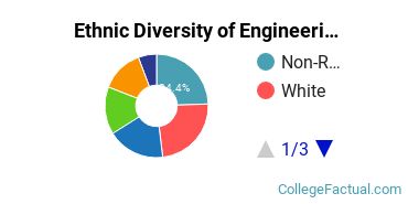 Ethnic Diversity of Engineering Majors at Columbia University in the City of New York