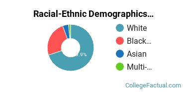 Racial-Ethnic Demographics of CSU Faculty