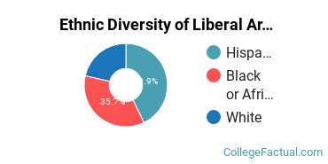 Ethnic Diversity of Liberal Arts / Sciences & Humanities Majors at Community Christian College