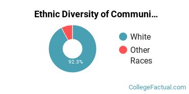 Ethnic Diversity of Communication & Journalism Majors at Concord University