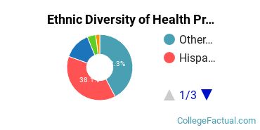 Ethnic Diversity of Health Professions Majors at Concorde Career College-San Bernardino