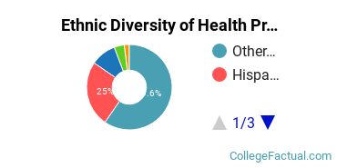 Ethnic Diversity of Health Professions Majors at Concorde Career College - San Diego