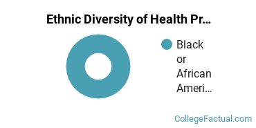 Ethnic Diversity of Health Professions Majors at Concorde Career College - Southaven