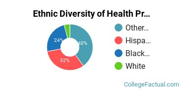 Ethnic Diversity of Health Professions Majors at Concorde Career Institute - Orlando