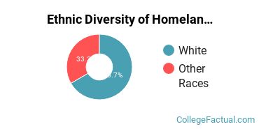 Ethnic Diversity of Homeland Security, Law Enforcement & Firefighting Majors at Concordia University, Nebraska
