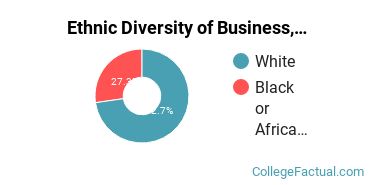 Ethnic Diversity of Business, Management & Marketing Majors at Converse College