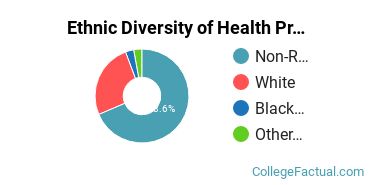 Ethnic Diversity of Health Professions Majors at Converse College
