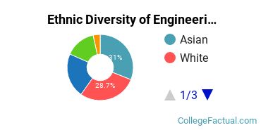 Ethnic Diversity of Engineering Majors at Cooper Union for the Advancement of Science and Art