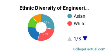Ethnic Diversity of Engineering Majors at Cooper Union for the Advancement of Science and Art