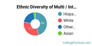 Ethnic Diversity of Multi / Interdisciplinary Studies Majors at Copper Mountain Community College