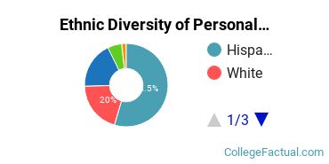 Ethnic Diversity of Personal & Culinary Services Majors at Culinary Institute Inc