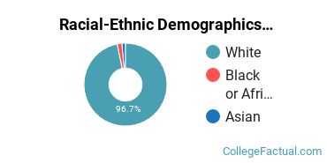 Racial-Ethnic Demographics of Culver - Stockton Faculty