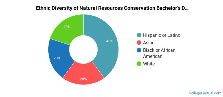 Ethnic diversity of Natural Resources Conservation majors at CUNY Brooklyn College
