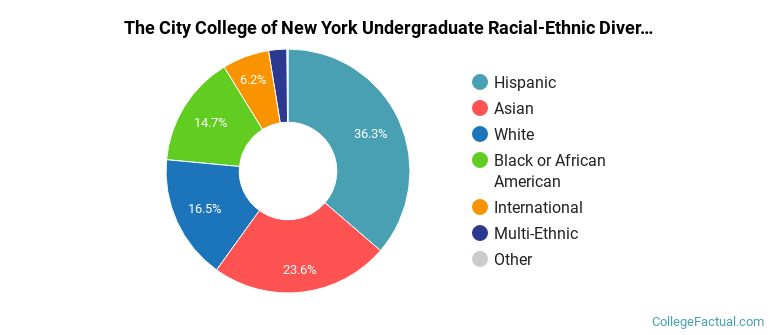 The City College of New York Diversity: Racial Demographics & Other Stats