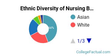 Ethnic Diversity of Nursing Majors at CUNY Hunter College