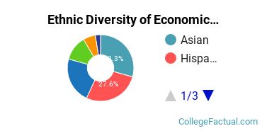 Ethnic Diversity of Economics Majors at CUNY Hunter College