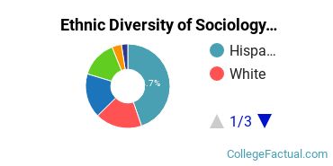 Ethnic Diversity of Sociology Majors at CUNY Hunter College
