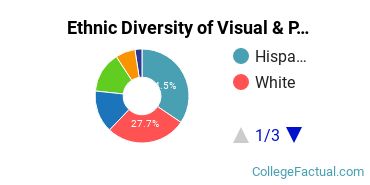 Ethnic Diversity of Visual & Performing Arts Majors at CUNY Hunter College
