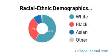 Racial-Ethnic Demographics of Lehman Faculty