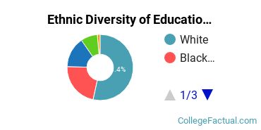 Ethnic Diversity of Education Majors at Dallas Baptist University