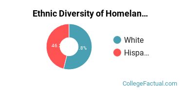 Ethnic Diversity of Homeland Security, Law Enforcement & Firefighting Majors at Dallas Baptist University