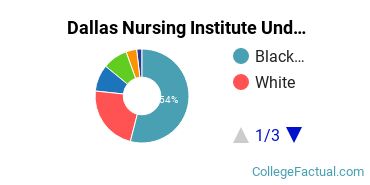 Dallas Nursing Institute Undergraduate Racial-Ethnic Diversity Pie Chart