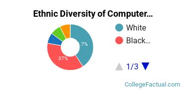 Ethnic Diversity of Computer & Information Sciences Majors at Delgado Community College