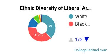 Ethnic Diversity of Liberal Arts / Sciences & Humanities Majors at Delgado Community College