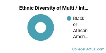 Ethnic Diversity of Multi / Interdisciplinary Studies Majors at Denmark Technical College